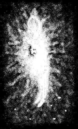 la guerra delle formiche - taigeto19